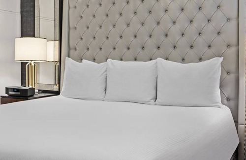 Lower Nob Hill Resort | Historic San Francisco Resort w/Classic Charm+Modern Style 1Bd/1Ba Presidential