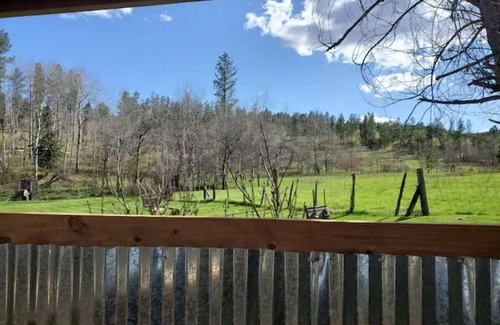 Rapid City Cabin | Historic studio cabin in the Hills