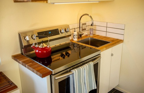 Landers House | Historic Stylish Landers Home w/Hot Tub, Fireplace & BBQ