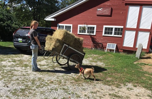 Canterbury Apartment | Historic Windswept FarmStay In Central NH
