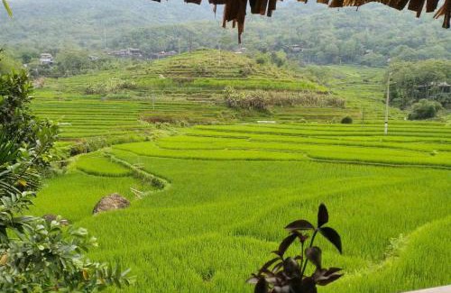 Ba Thuoc Bed & Breakfast | Hoanh Thắng Homestay