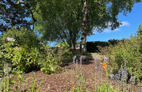 High Peak Cottage | HOCKERLEY COTTAGE, romantic, with a garden in Whaley Bridge