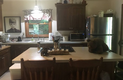 Laurelville Cabin | Hocking Hills Cabin comes with 3 "Wild Cats".