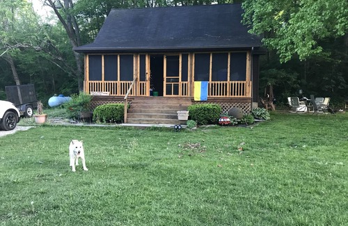 Laurelville Cabin | Hocking Hills Cabin comes with 3 "Wild Cats".