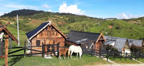 Medellin Other | Hoguera del Nómada