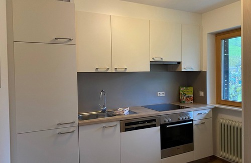 Untermunstertal Apartment | Holiday Apartment 'Rotenbuck, Type B' with Mountain View, Balcony and Wi-Fi in Münstertal