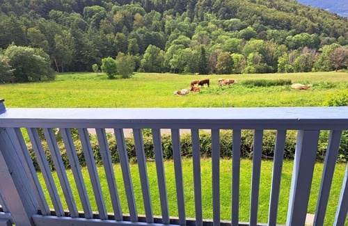 Schofweg Apartment | Holiday apartment Schöfweg for 1 - 3 persons with 1 bedroom - Holiday apartment in one or multi-fami