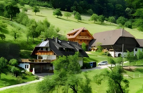 Gengenbach Apartment | Holiday Apartment 'Sonnenschein' with Private Terrace, Shared Garden and Wi-Fi