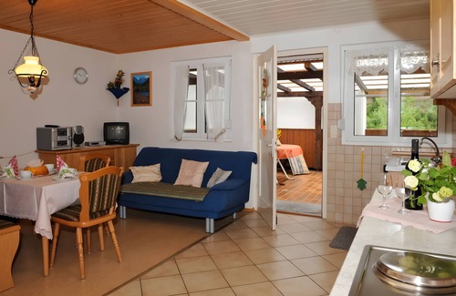 Oppenau Apartment | Holiday Apartment 'Talblick' with Private Terrace and Wi-Fi