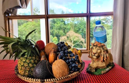 Nkoanrua Apartment | Holiday cottage by the river, Arusha