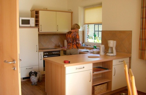 Wenkendorf House | Holiday home for 5 guests with 70m² in Fehmarn OT Wenkendorf (11176)