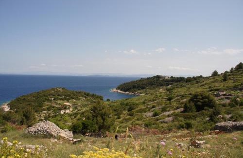 Cove Rogacic House | Holiday Home (139-2)