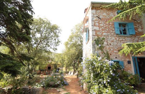 Drenje House | Holiday Home Botanica