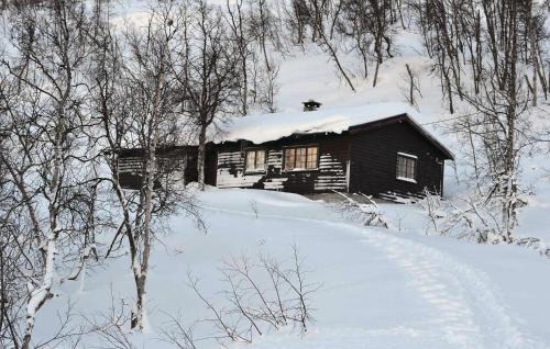 Haugastol House | Holiday Home Haugastøl Xxxix
