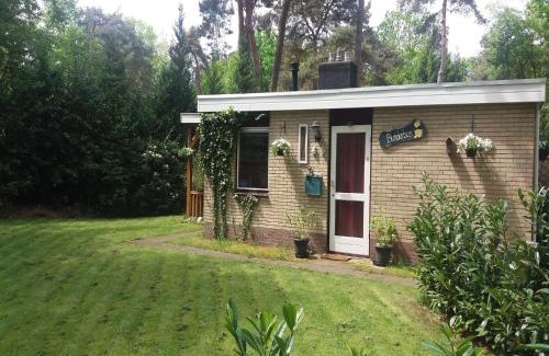 Hoogengraven House | Holiday Home in Arriën near Beerze Nature