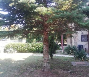 Keszthely House | Holiday home in Keszthely - Balaton 49197
