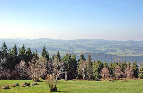Neureichenau House | Holiday Home in Neureichenau near Bavarian Forest