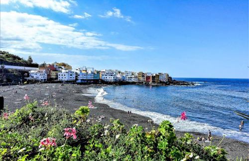Puerto de la Cruz Apartment | Holiday home Los Frailes