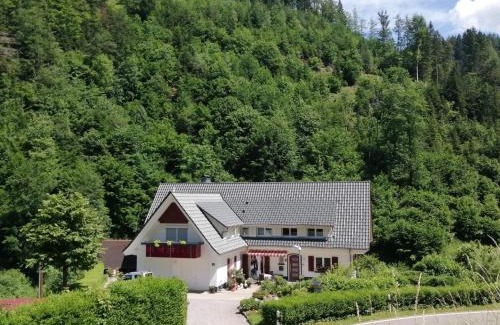 Oppenau Apartment | Holiday home near the forest in Oppenau