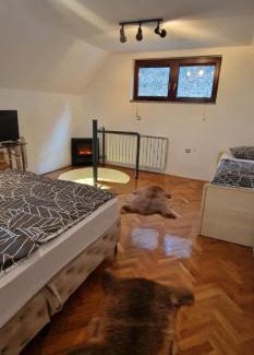 Zenica-Doboj Canton House | Holiday Home Oaza Mira