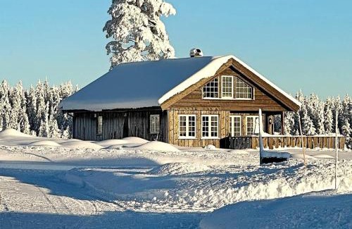 Amot House | Holiday home Osen II