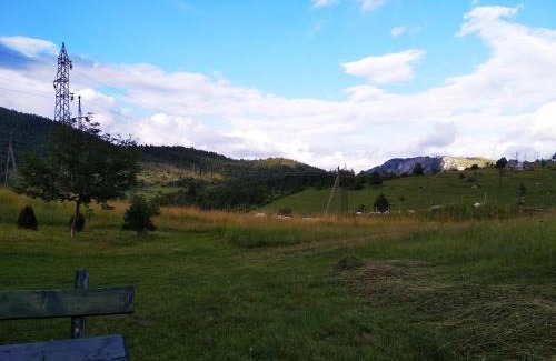Zabljak House | Holiday Home Usovic