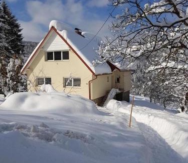 Presika House | Holiday house with a parking space Vrbovsko, Gorski kotar - 20539