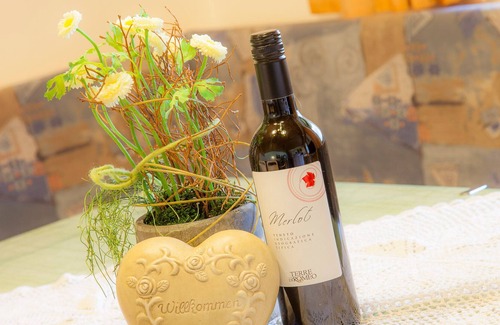 Runhof Apartment | Holiday in top location - Quaint and real - Winter like summer dreamlike (near Sölden)