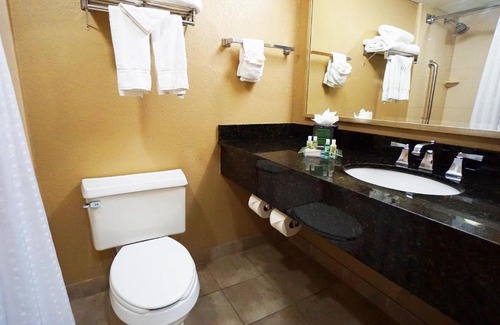 Central City Hotel | Holiday Inn Corpus Christi Downtown Marina by IHG