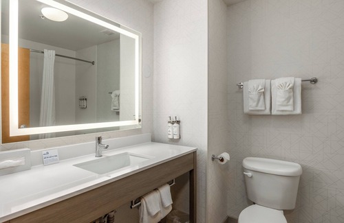 Vancouver Hotel | Holiday Inn Express Hotel & Suites Vancouver Mall by IHG