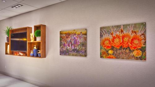 Sundance Hotel | Holiday Inn Express & Suites Phoenix West - Buckeye by IHG