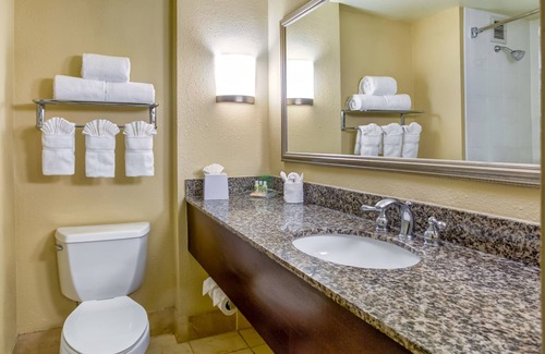 Indianapolis Hotel | Holiday Inn Indianapolis Carmel by IHG