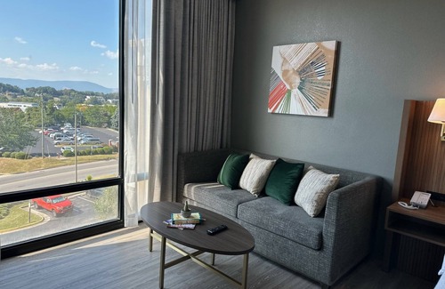 Cave Spring Hotel | Holiday Inn Roanoke-Tanglewood-Rt 419&i581 by IHG
