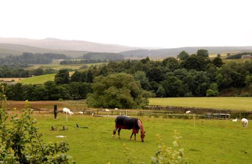 Greenhaugh Hotel | Hollybush Inn