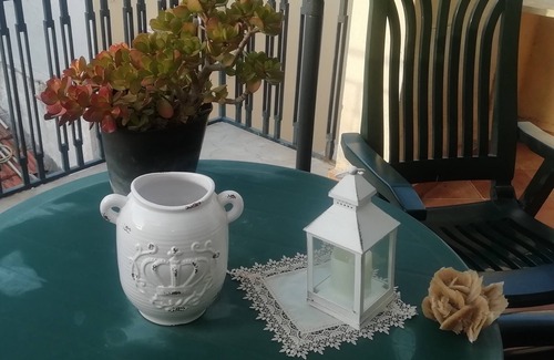Trabia House | home of colors and flowers