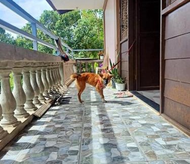 Coron House | HOME of ELLAI