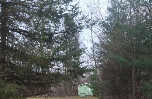 Howell House | Home on 10 Acres! Romantic getaway, Hunting paradise, Family vacation,Events