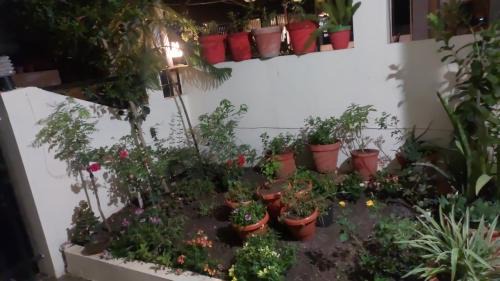 Indore House | Home Stay with Sanjeev