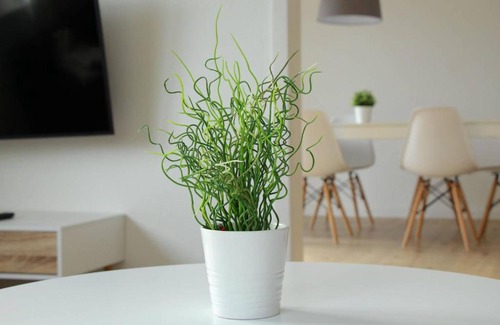 Metzingen Apartment | Homely Spacious Appartment near OUTLETS & Train