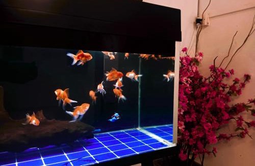 Lahad Datu House | Homestay Murah Lahad Datu
