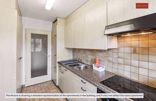 Center Apartment | Homey Apartment 27` from Zurich Center
