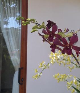Phan Rang Apartment | Homstay Mai Biển Ninh Chử