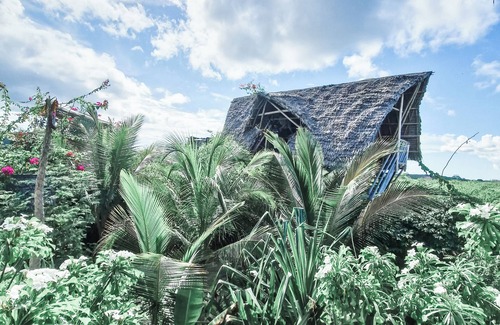 Jambiani House | Honeymoon Nest Zanzibar in Jambiani
