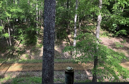 Iuka House | Hooters Hollow- Getaway cabin at Pickwick Lake