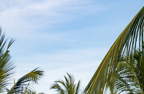 Michamvi Hotel | Horizon of Michamvi Beach