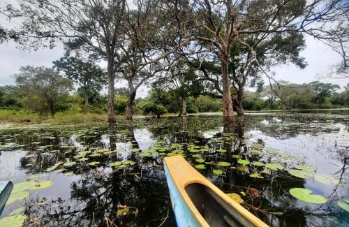 Habarana Hotel | Hornbill Forest Habarana