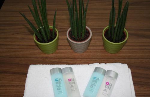 Avila House | Hostal La Estación