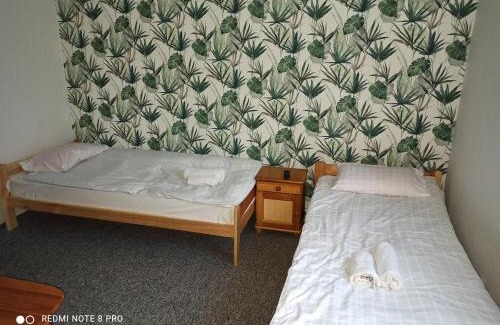 Rzeszow Hostel | Hostel Los Amigos