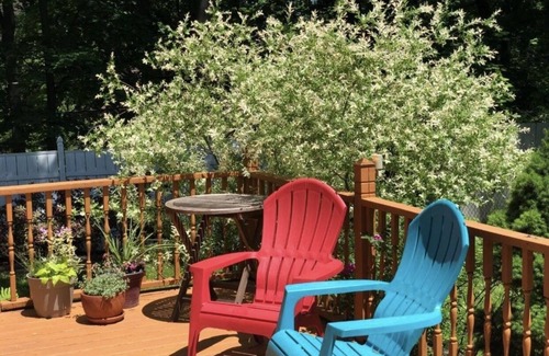 Albany House | Hot tub and private dead end road -super comfy cozy stay in Albany, NY.