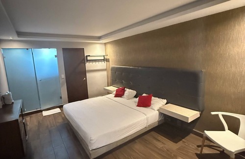 Monterrey Centro Hotel | hotel 202